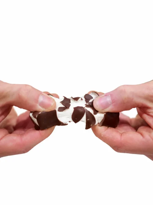 Ourson chocolat guimauve vanille
